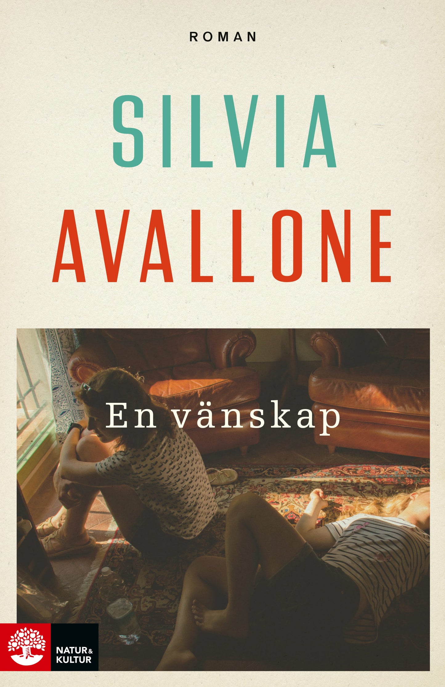 En vänskap – E-bok