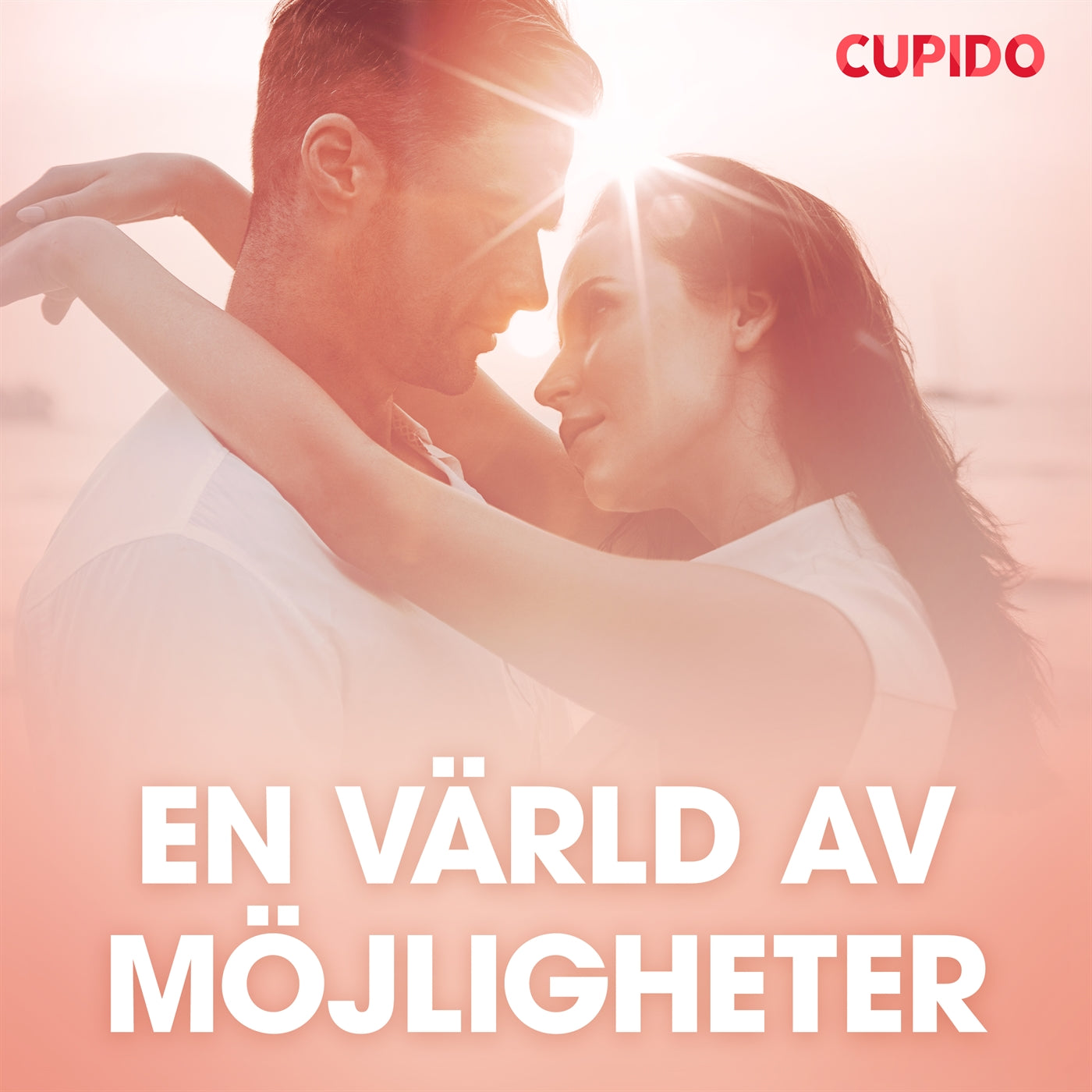 En värld av möjligheter – erotiska noveller – Ljudbok