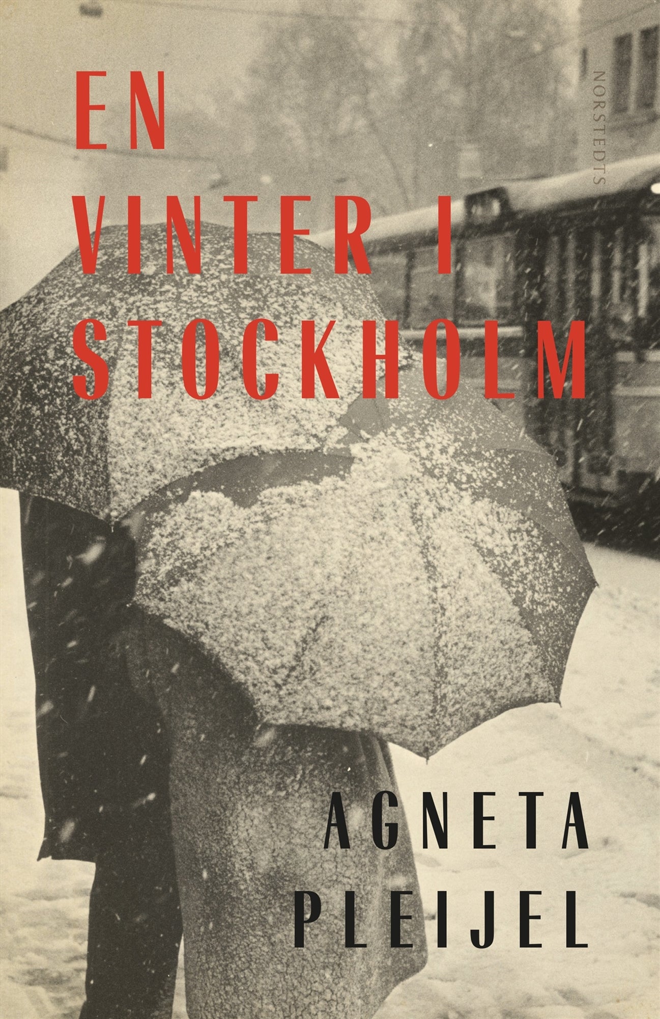 En vinter i Stockholm – E-bok