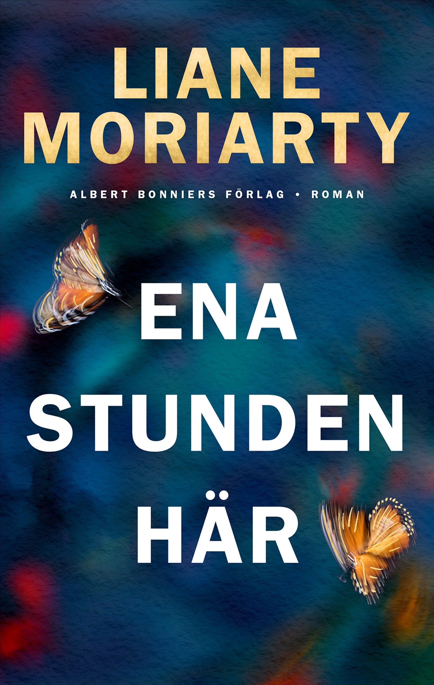 Ena stunden här – E-bok