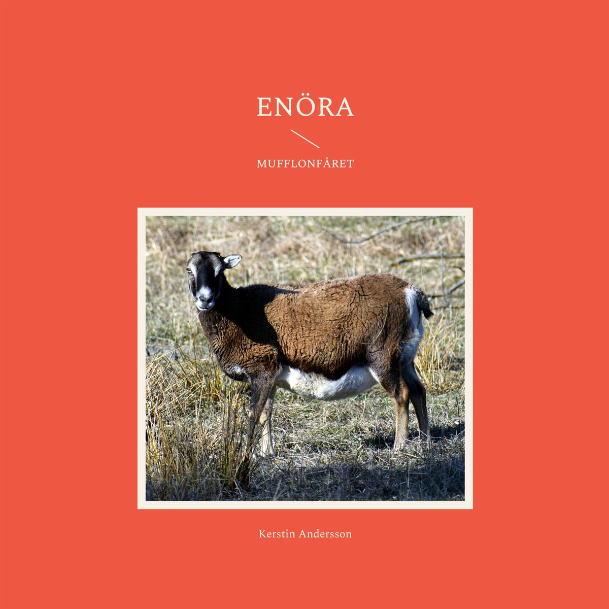 Enöra: I fårhagen – E-bok