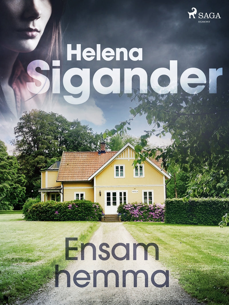 Ensam hemma – E-bok