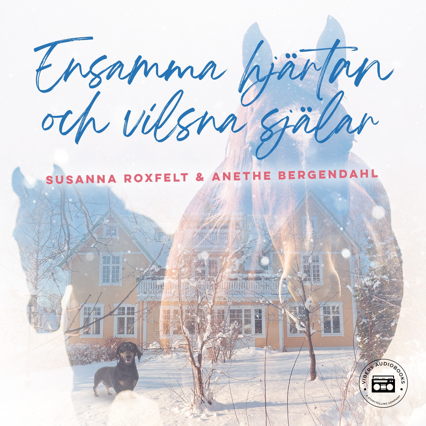 Ensamma hjärtan och vilsna själar – Ljudbok