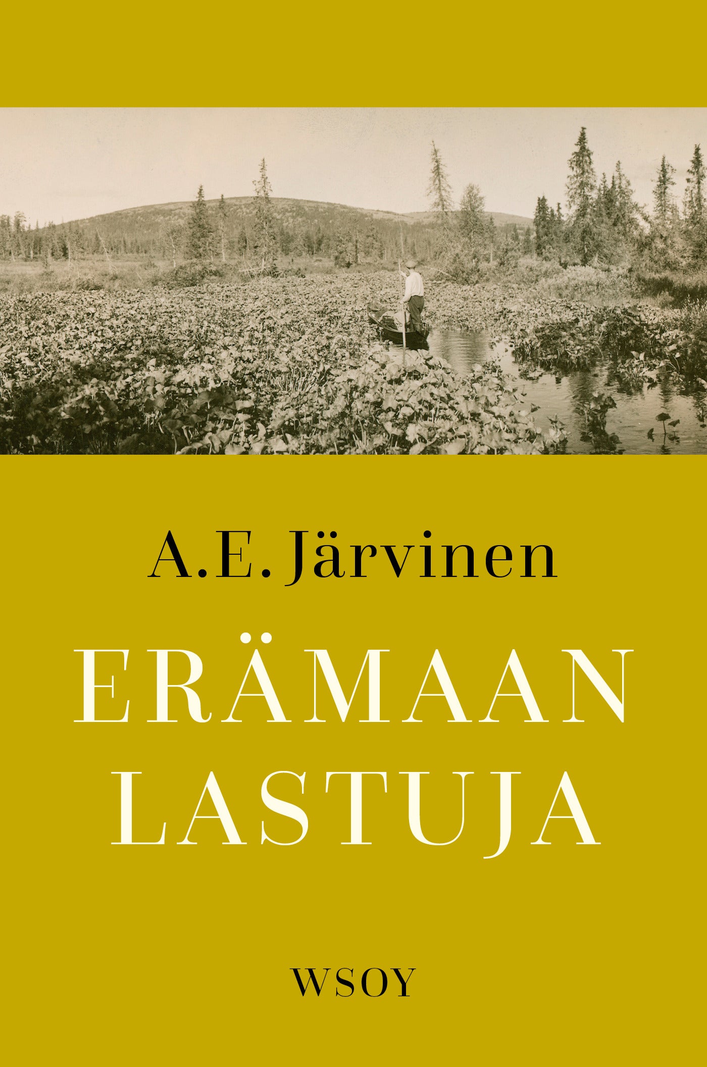 Erämaan lastuja – E-bok