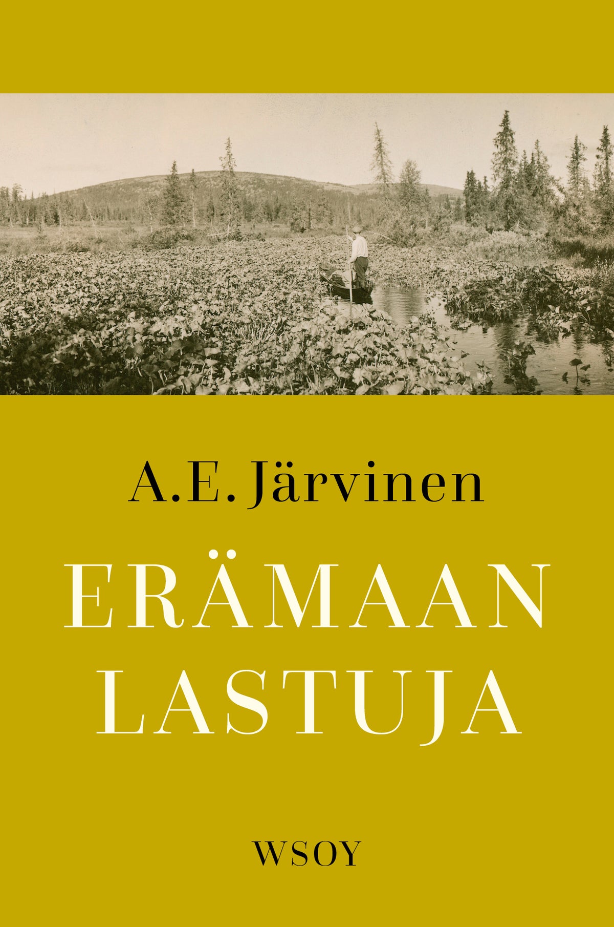 Erämaan lastuja – E-bok