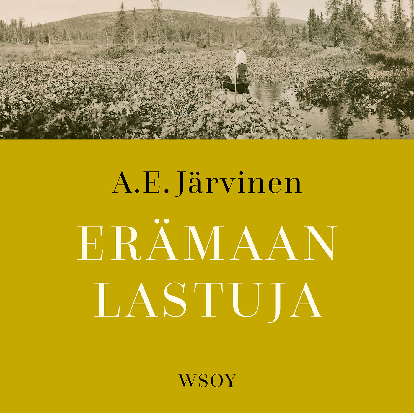 Erämaan lastuja – Ljudbok