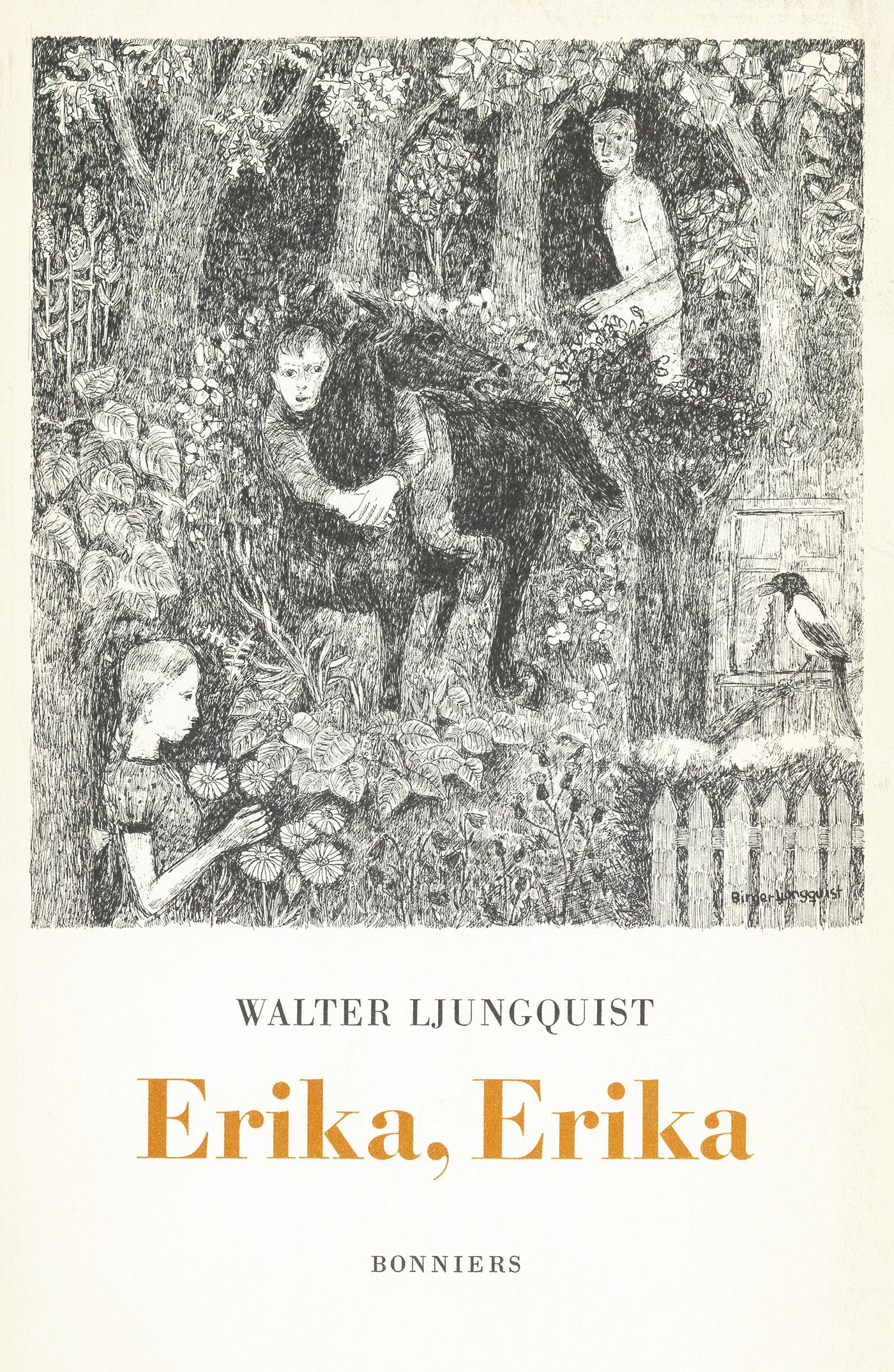 Erika, Erika : En ordvävnad – E-bok