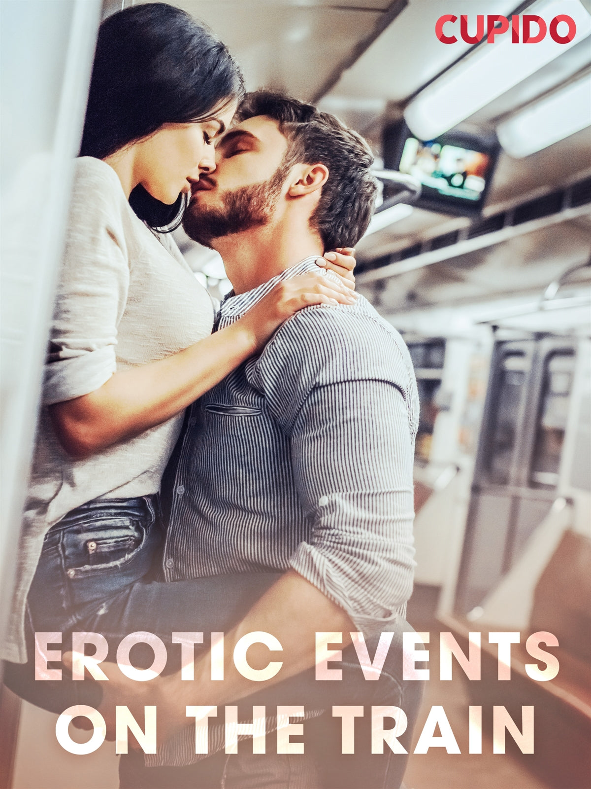 Erotic Events on the Train – E-bok