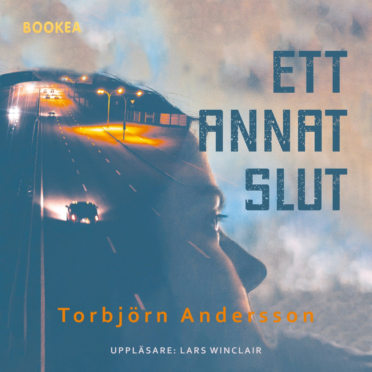 Ett annat slut – Ljudbok