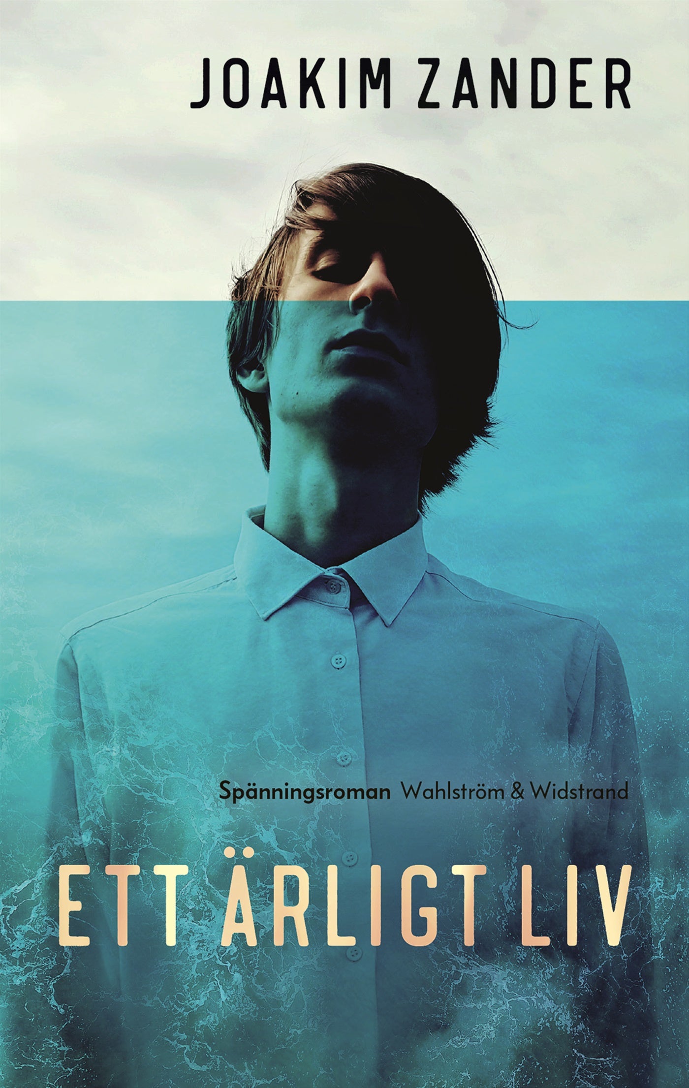 Ett ärligt liv – E-bok