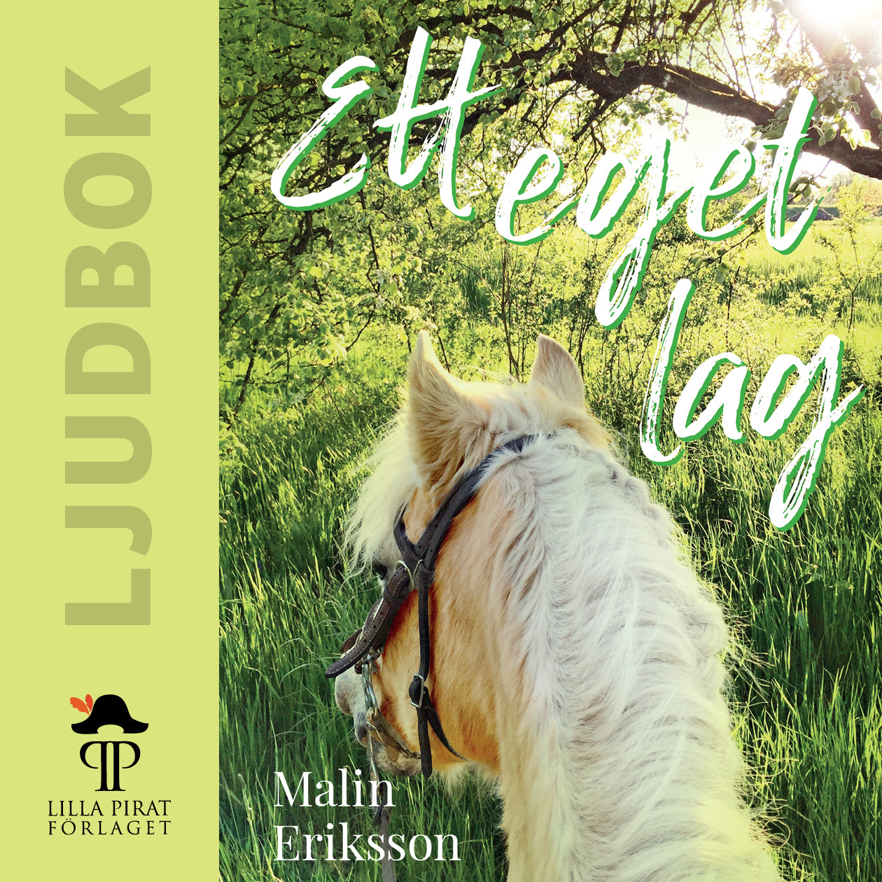 Ett eget lag – Ljudbok