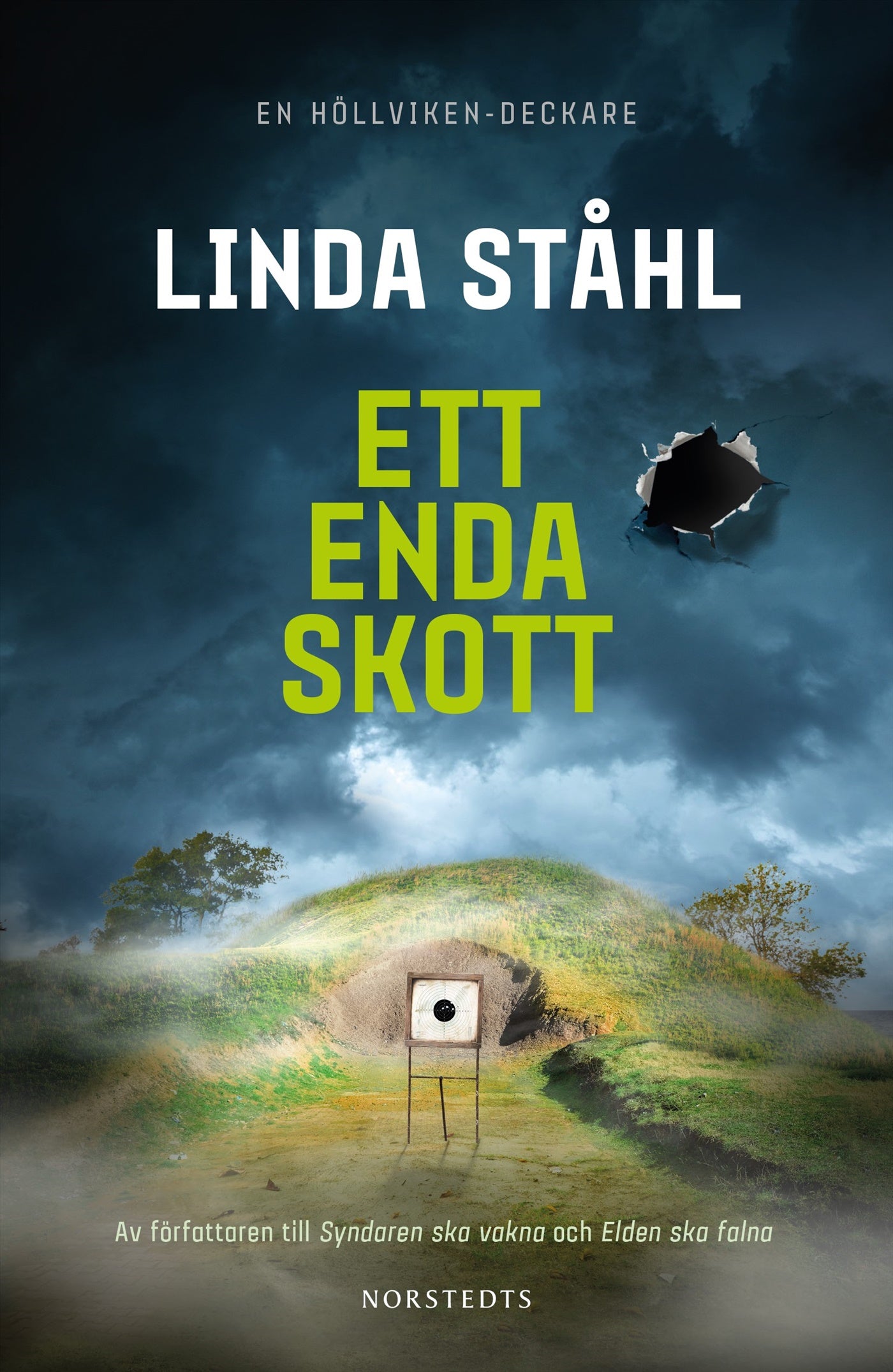 Ett enda skott – E-bok
