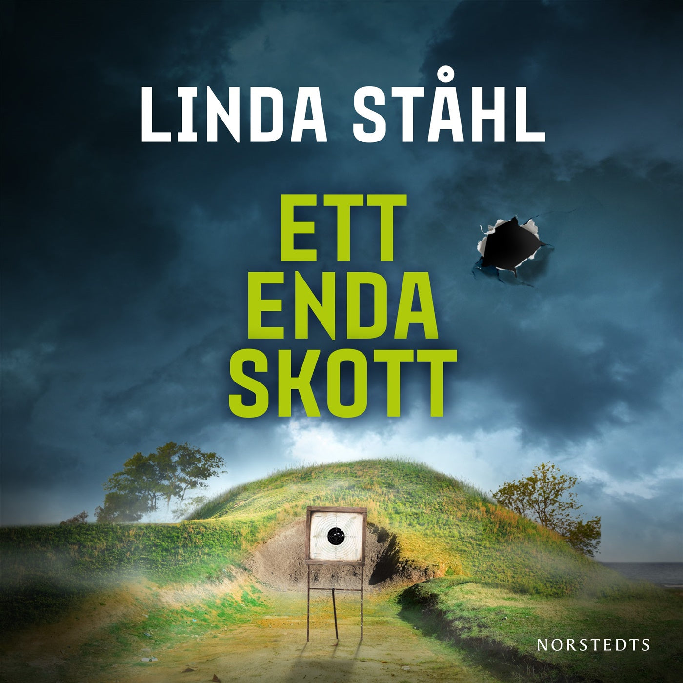 Ett enda skott – Ljudbok