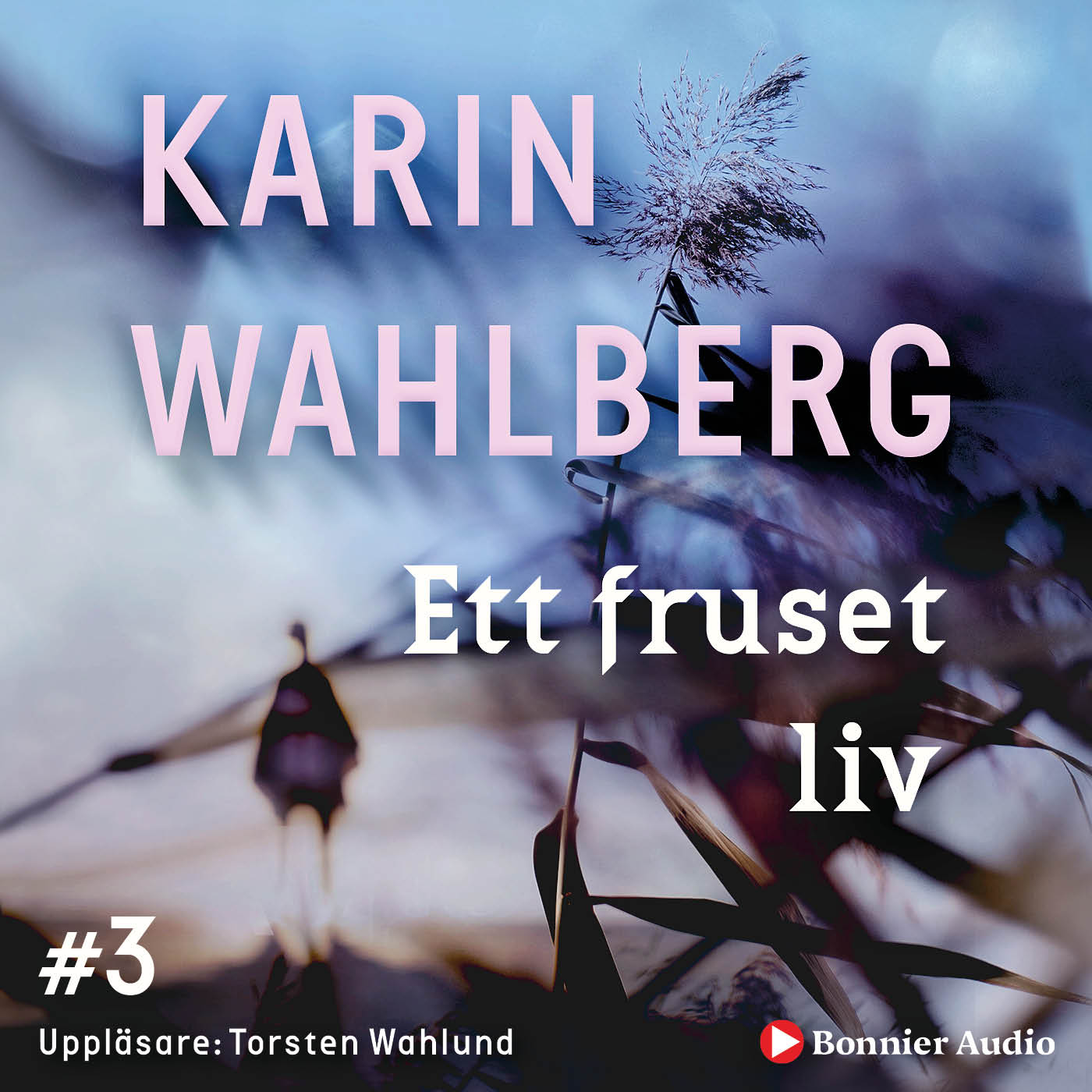 Ett fruset liv – Ljudbok