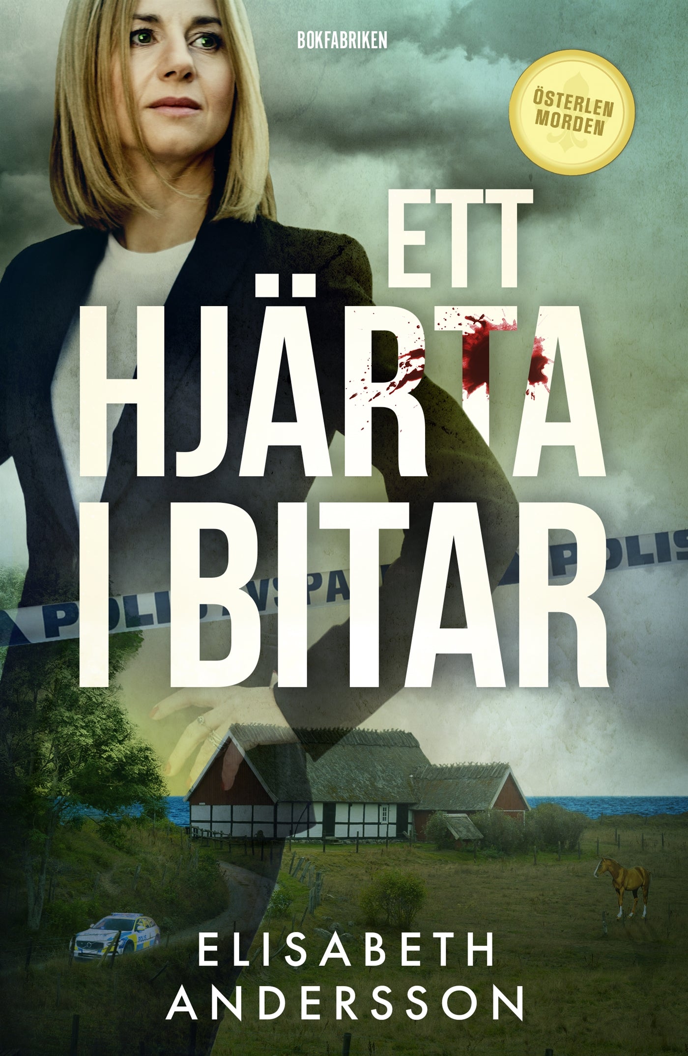 Ett hjärta i bitar – E-bok