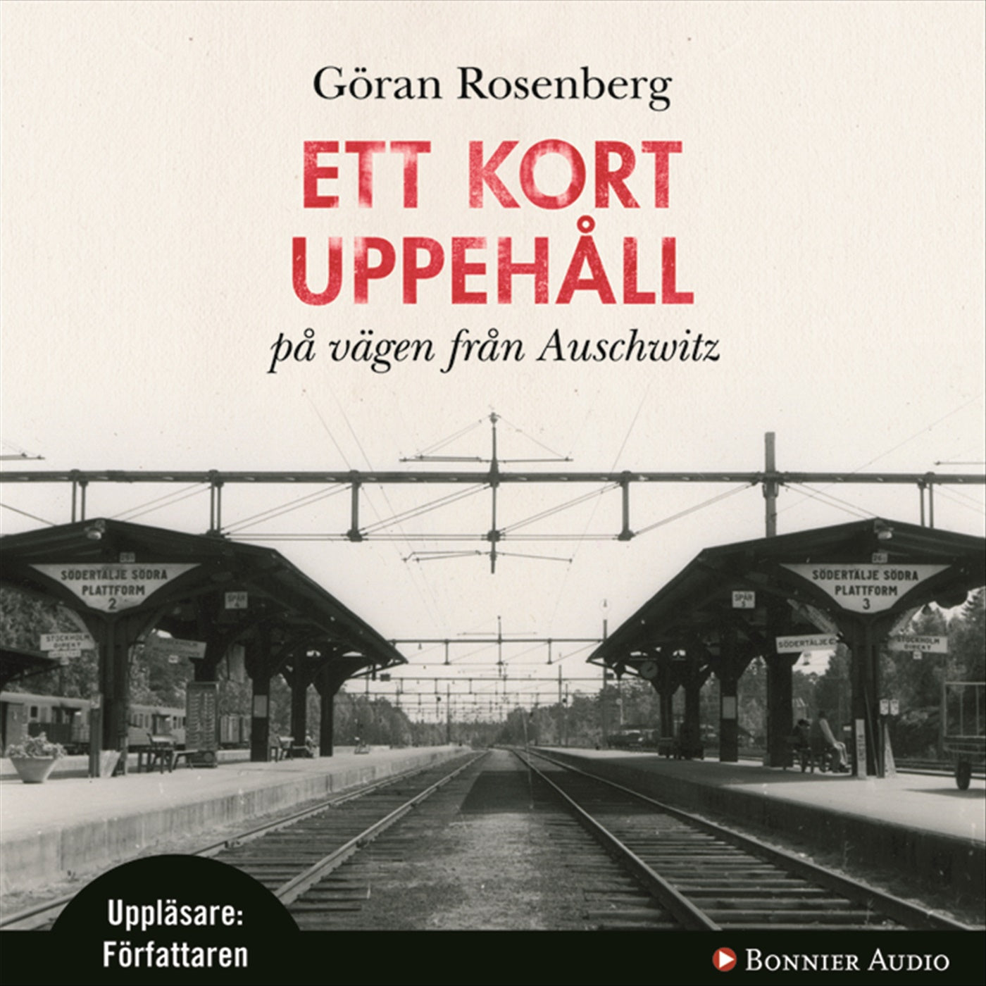 Ett kort uppehåll på vägen från Auschwitz – Ljudbok