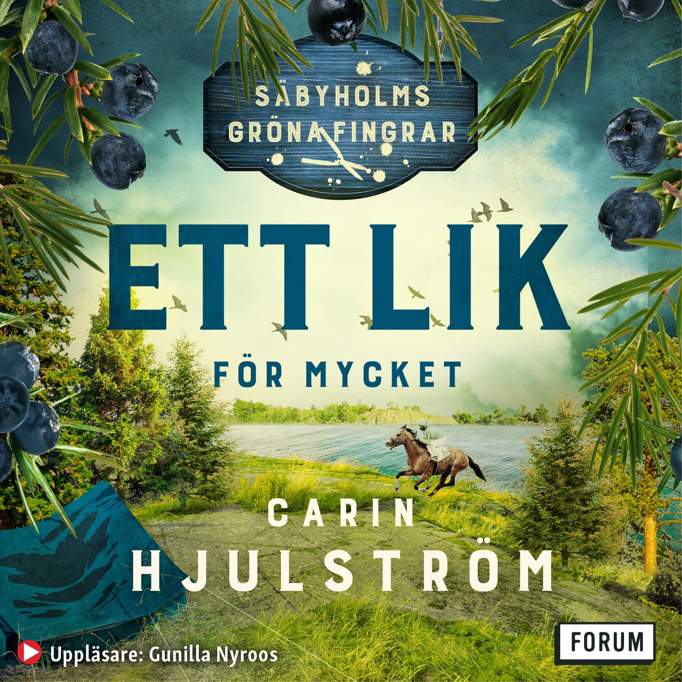 Ett lik för mycket – Ljudbok