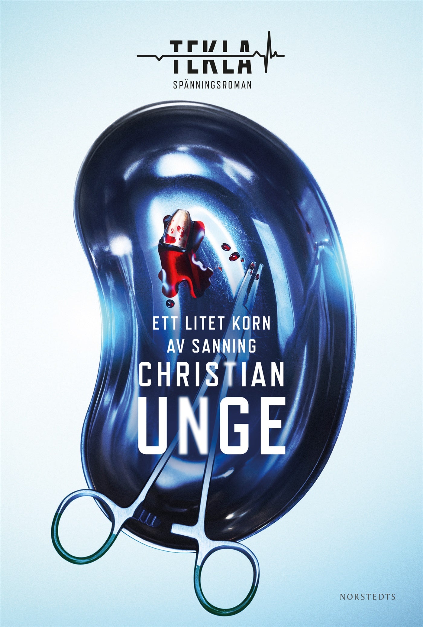 Ett litet korn av sanning – E-bok