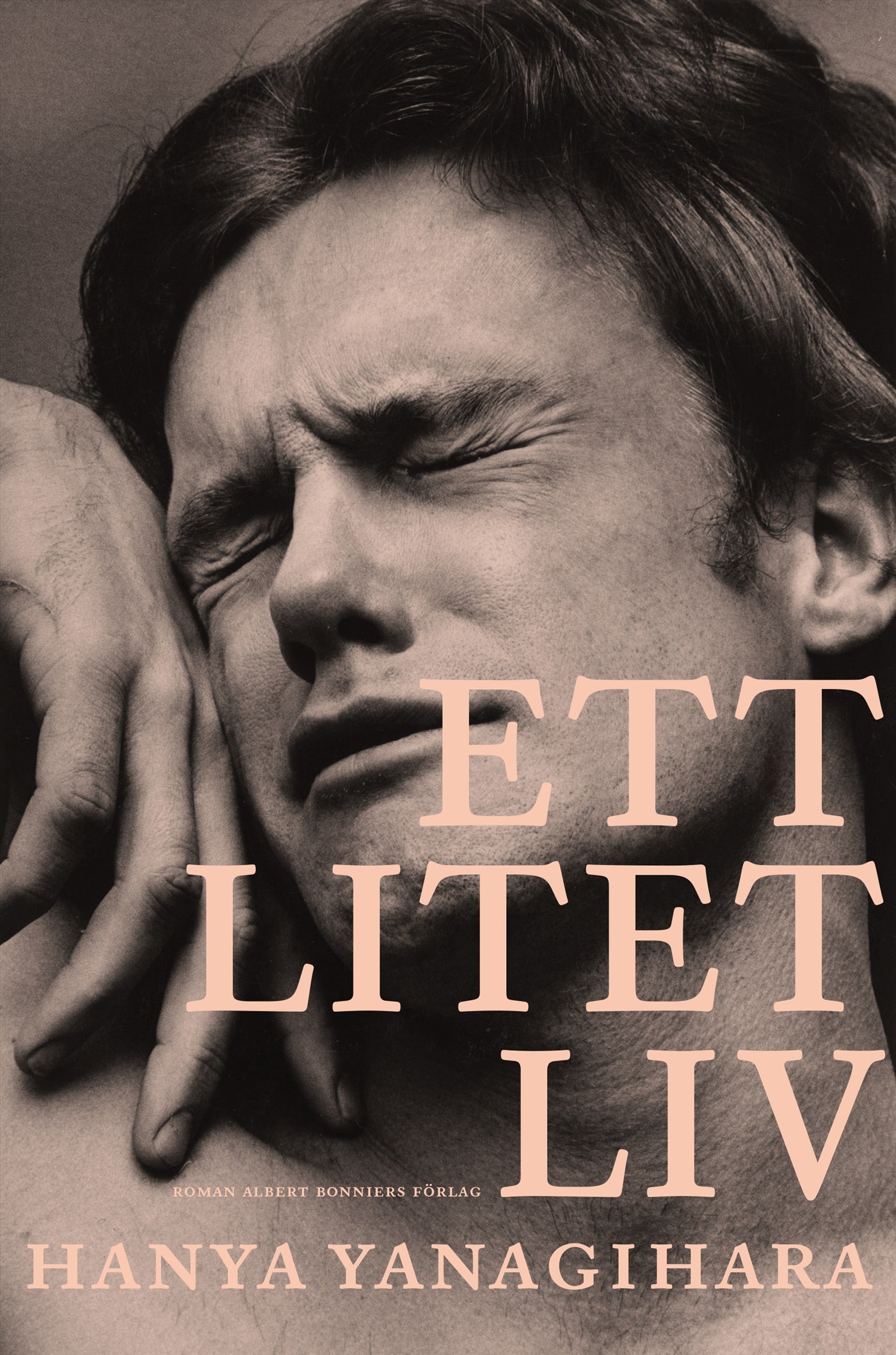 Ett litet liv – E-bok
