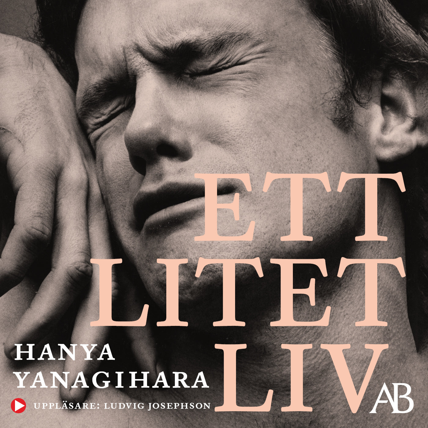 Ett litet liv – Ljudbok