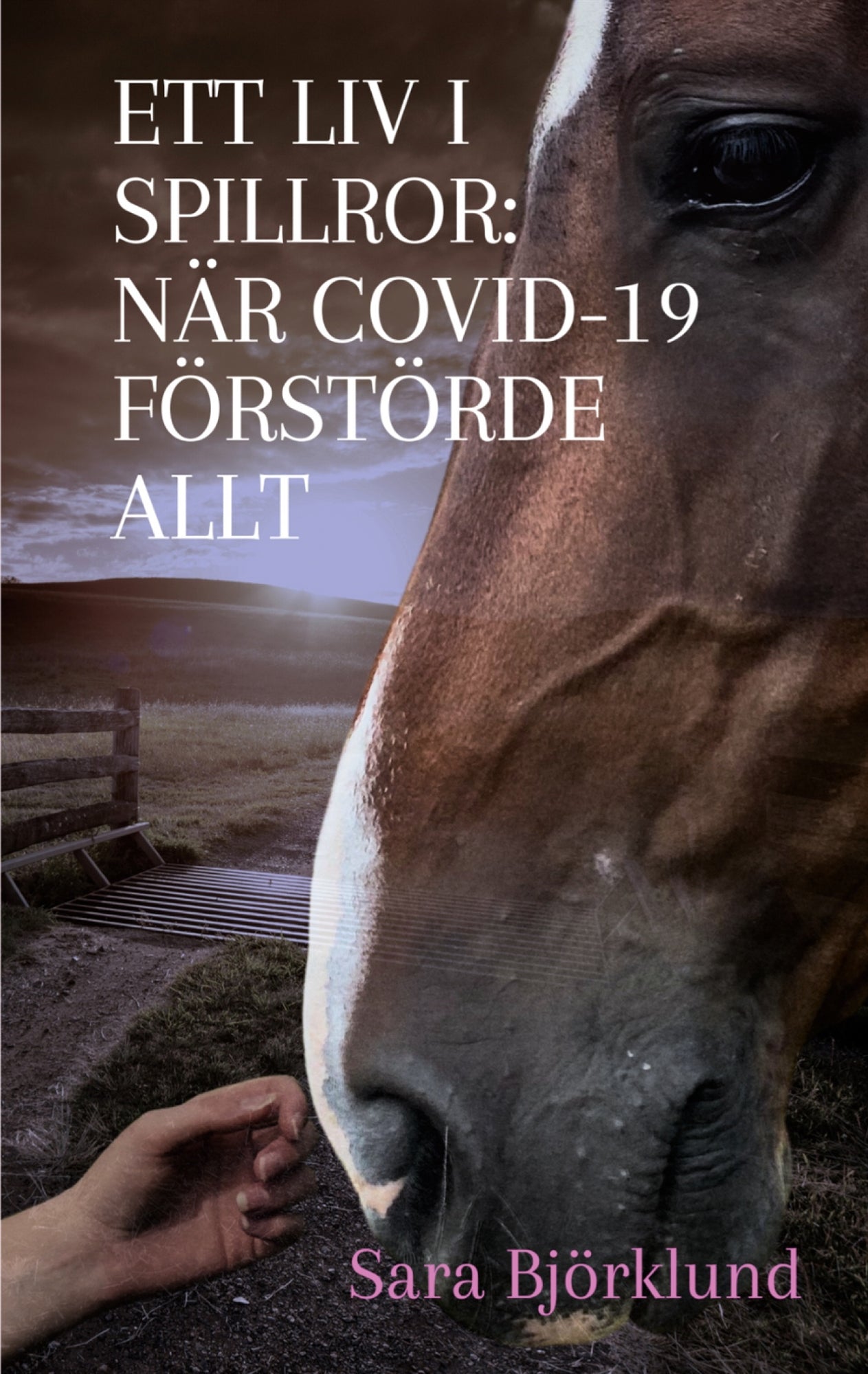 Ett liv i spillror: När covid-19 förstörde allt: En resa genom sorg, smärta och överlevnad – E-bok