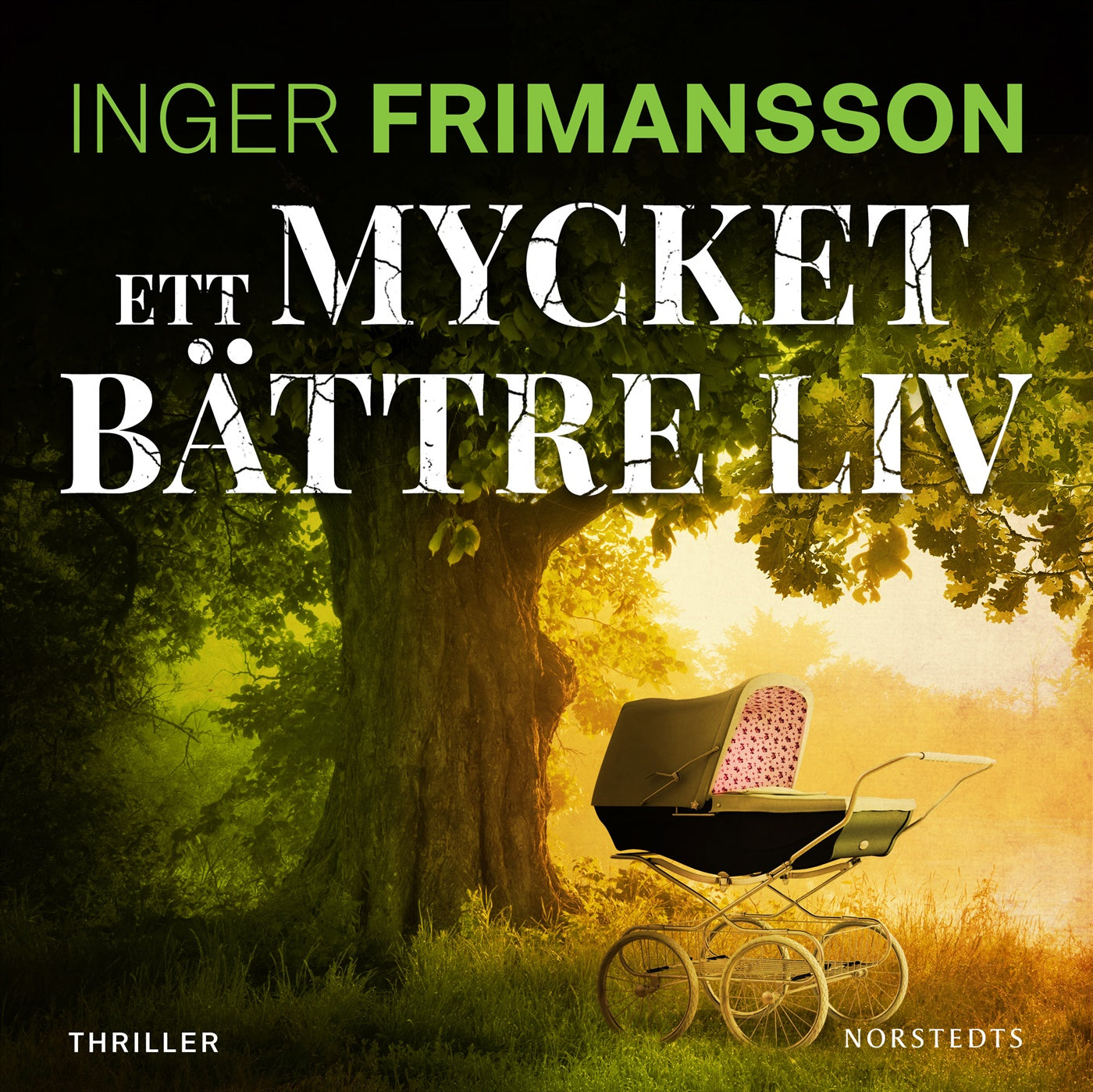 Ett mycket bättre liv – Ljudbok