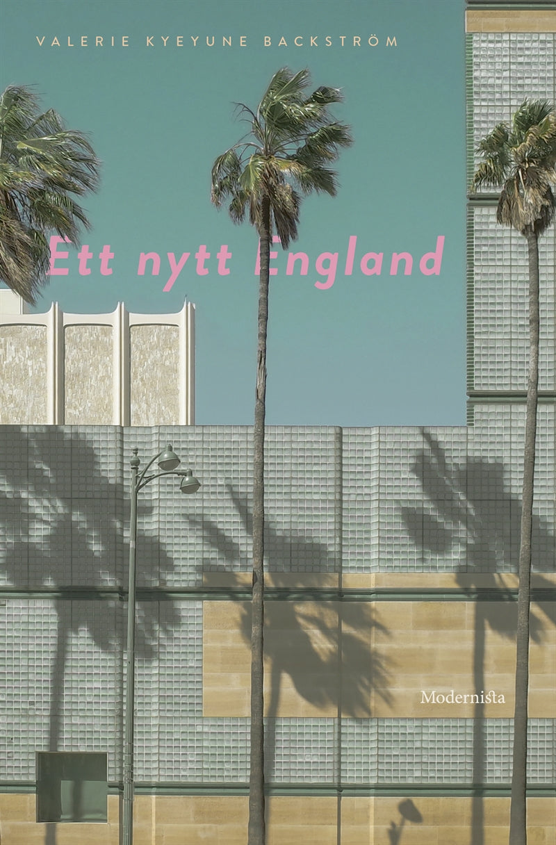 Ett nytt England – E-bok