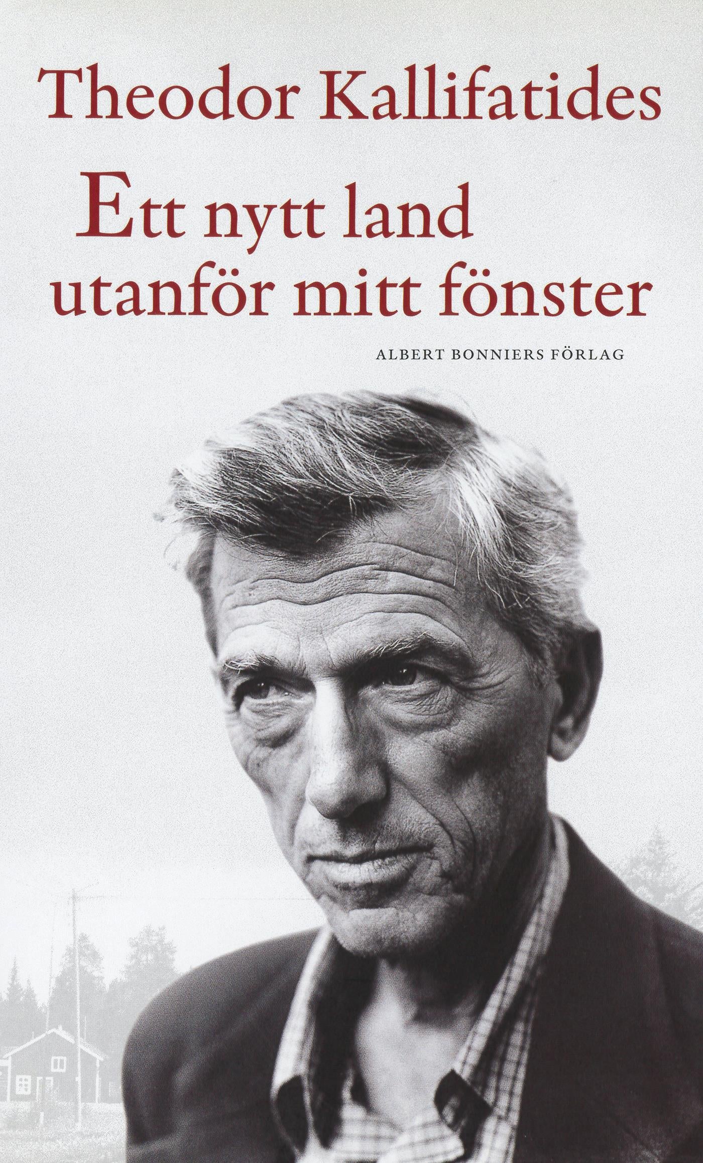 Ett nytt land utanför mitt fönster – E-bok