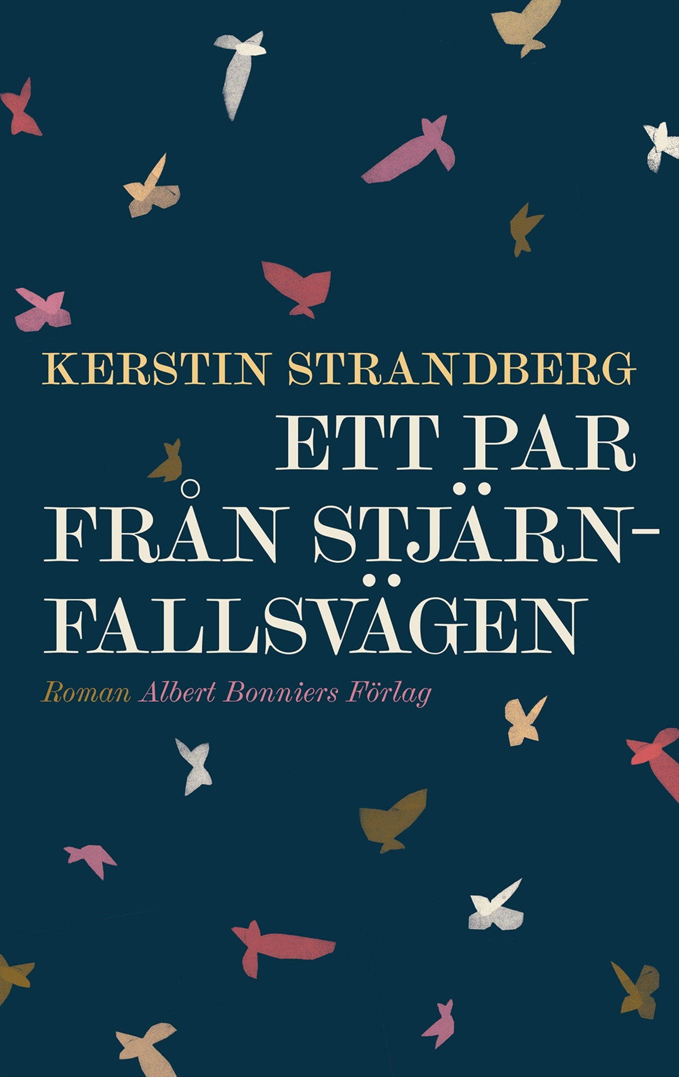 Ett par från Stjärnfallsvägen – E-bok