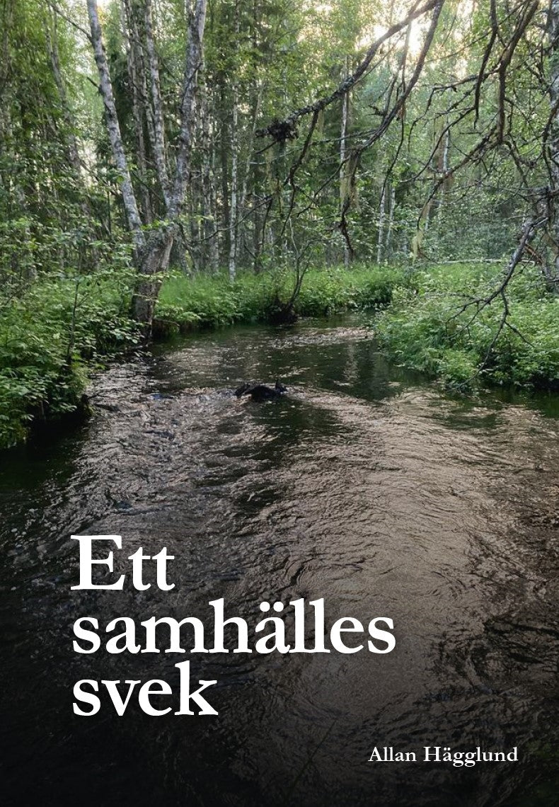 Ett samhälles svek – E-bok