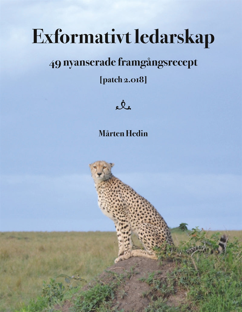 Exformativt ledarskap: 49 nyanserade framgångsrecept – E-bok