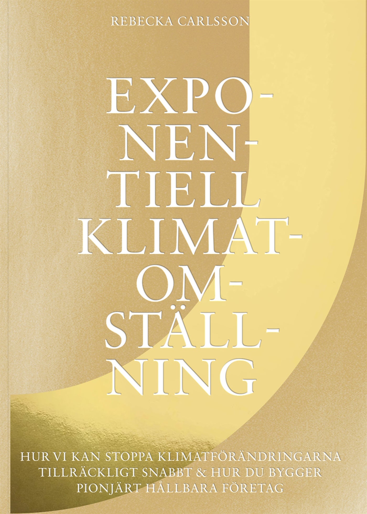 Exponentiell klimatomställning : hur vi kan stoppa klimatförändringarna tillräckligt snabbt & hur du bygger pionjärt hållbara företag – E-bok