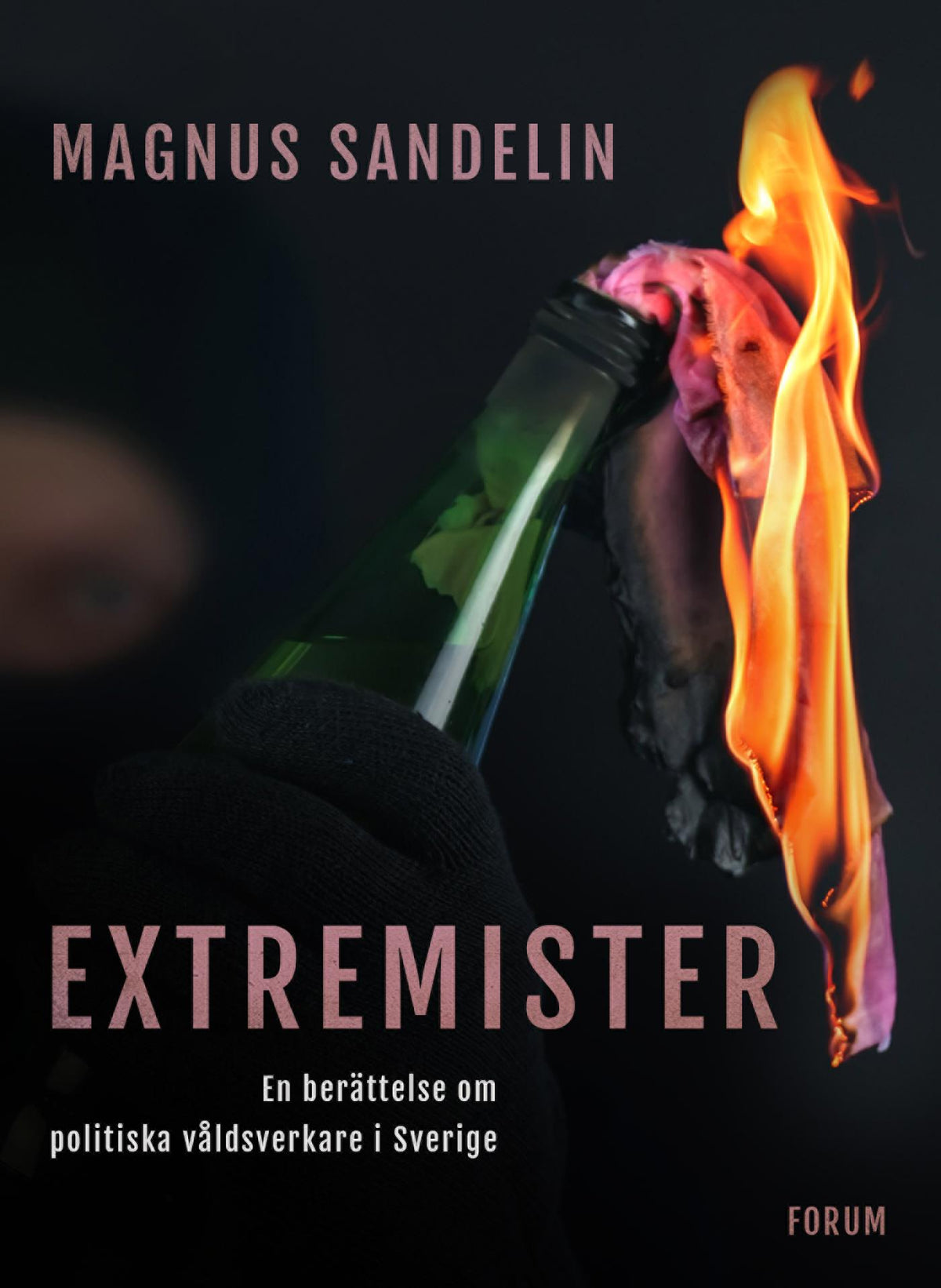 Extremister : En berättelse om politiska våldsverkare i Sverige – E-bok