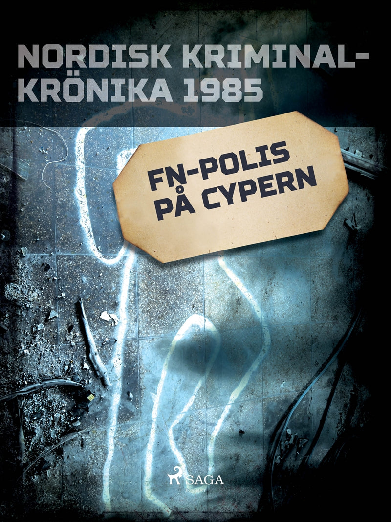 FN-polis på Cypern – E-bok