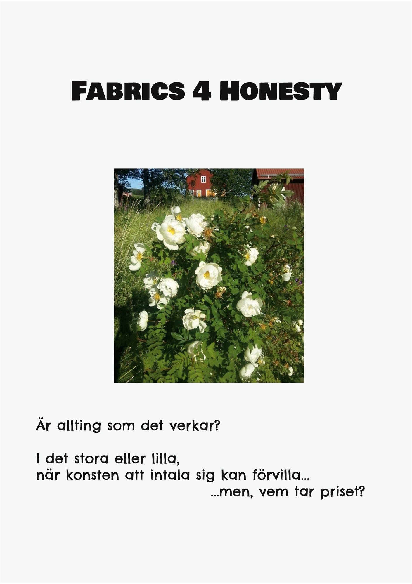 Fabrics 4 Honesty: Är allting som det verkar? I det stora eller lilla, när konsten att intala sig kan förvilla... ...men, vem tar priset? – E-bok