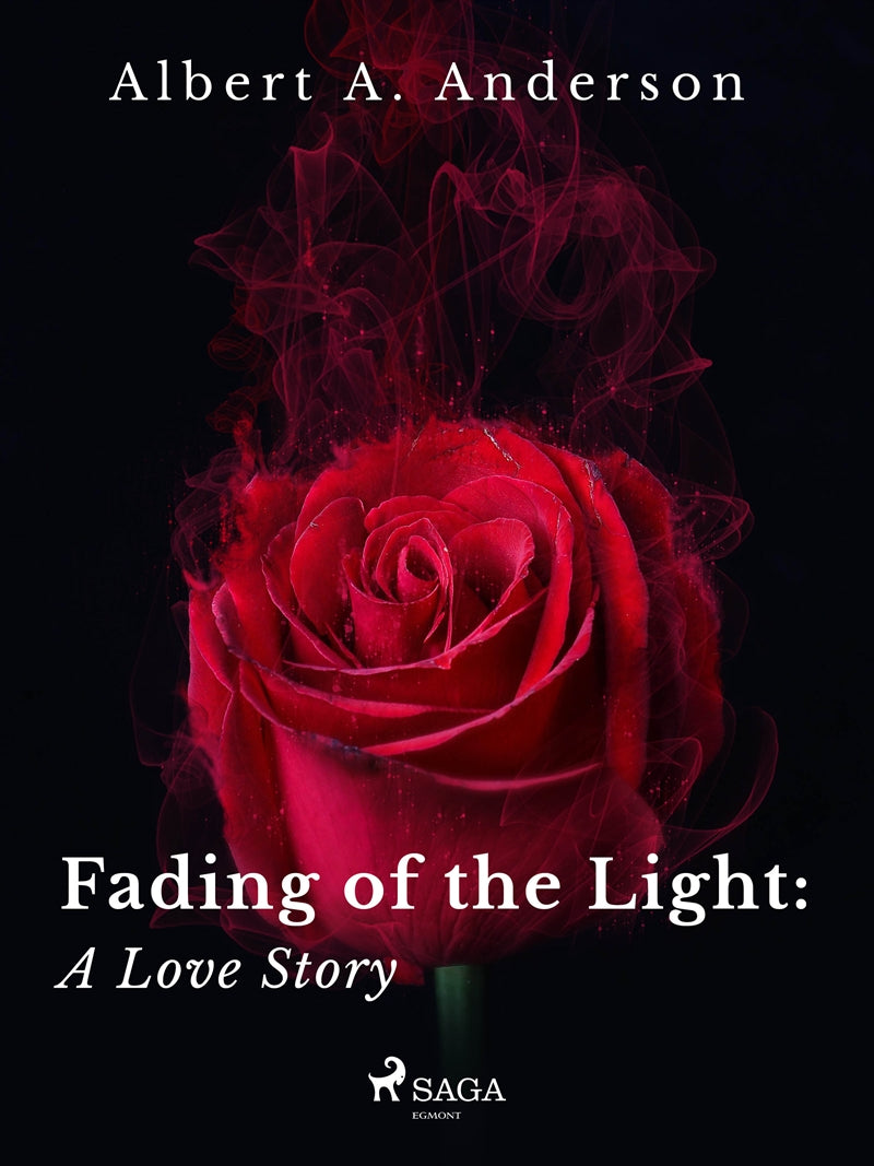 Fading of the Light: A Love Story – E-bok