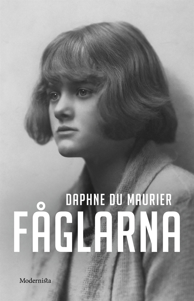 Fåglarna – E-bok