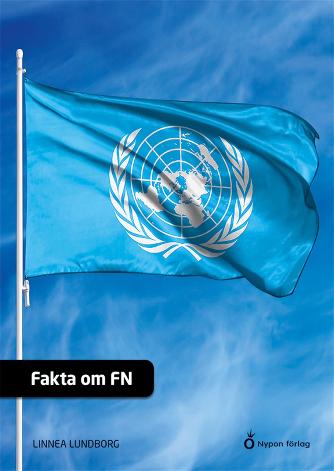 Fakta om FN – E-bok