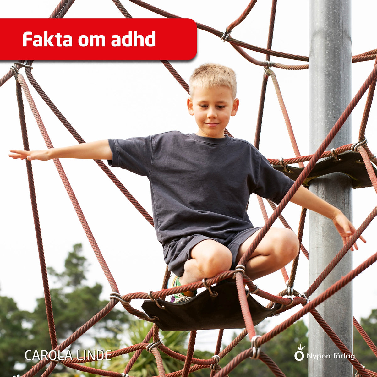Fakta om adhd – Ljudbok