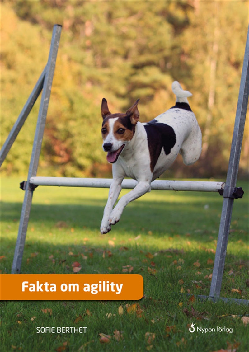 Fakta om agility – E-bok
