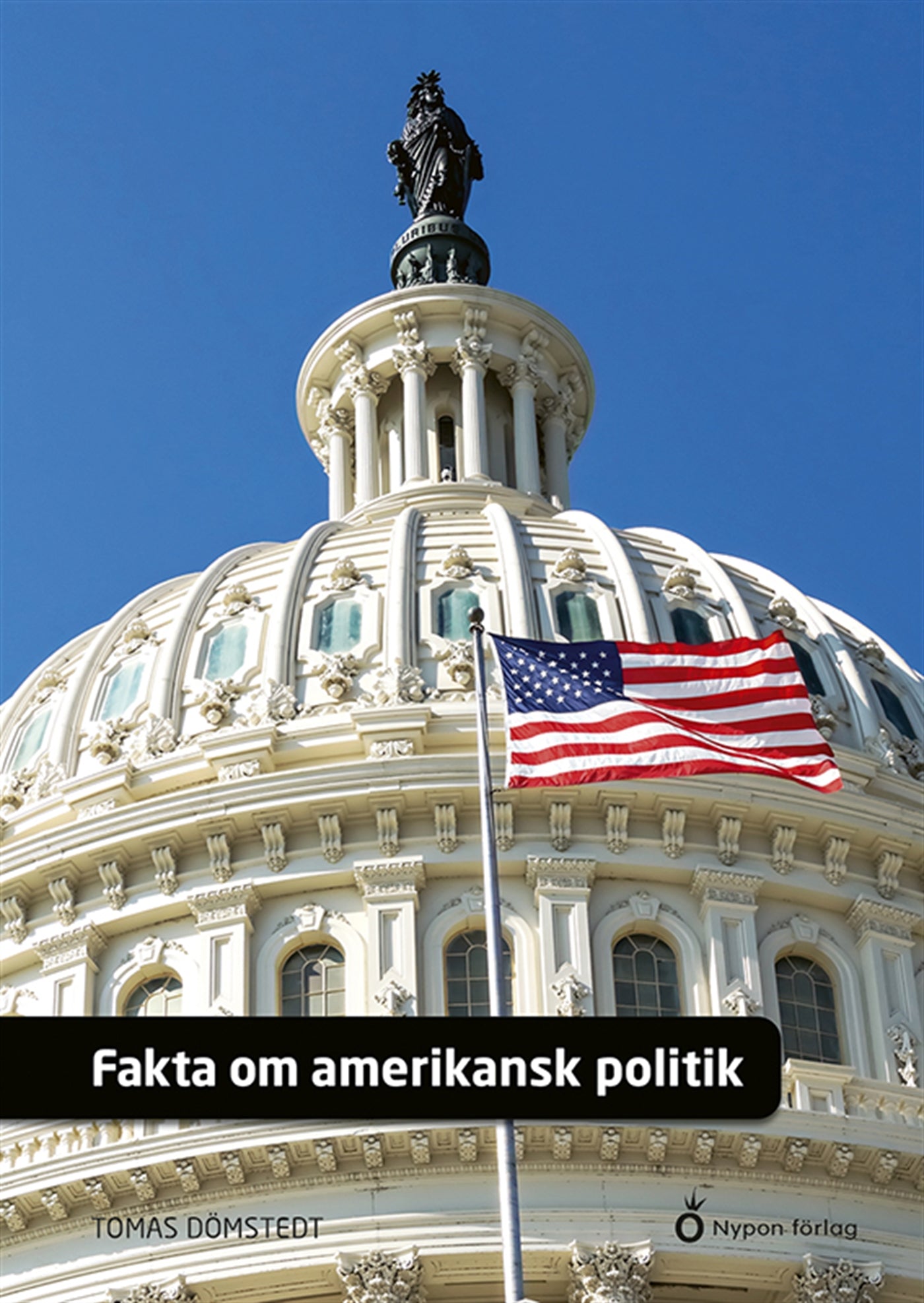 Fakta om amerikansk politik – E-bok
