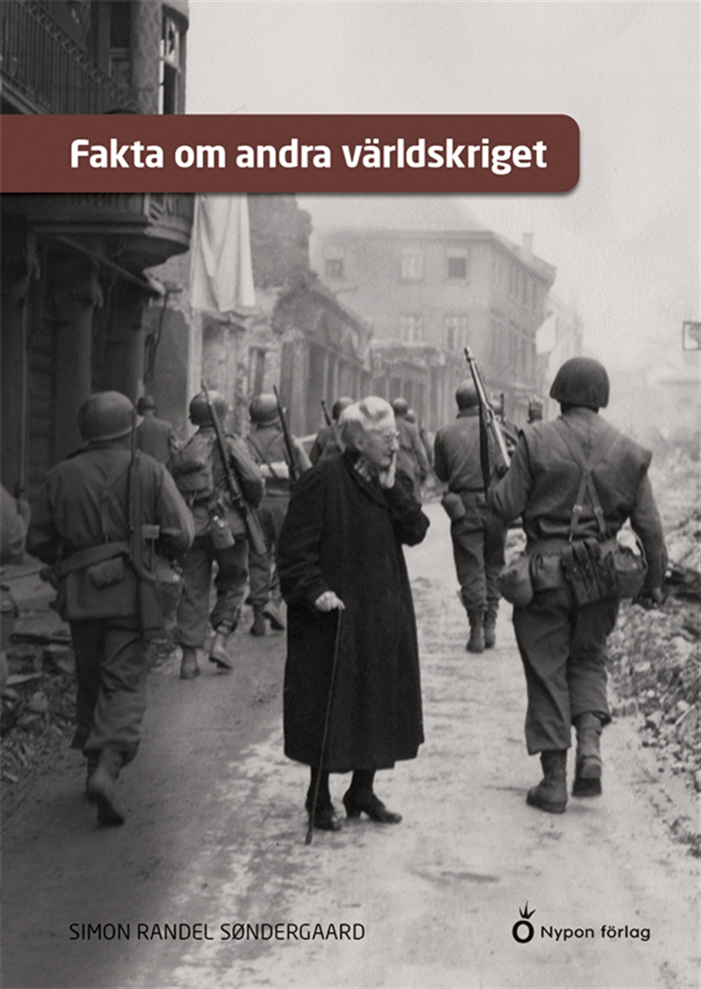 Fakta om andra världskriget – E-bok
