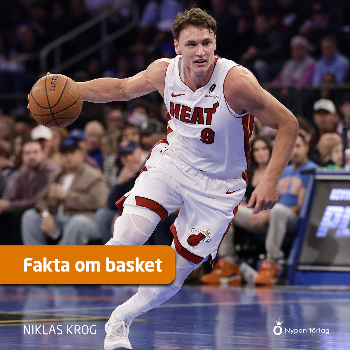 Fakta om basket – Ljudbok