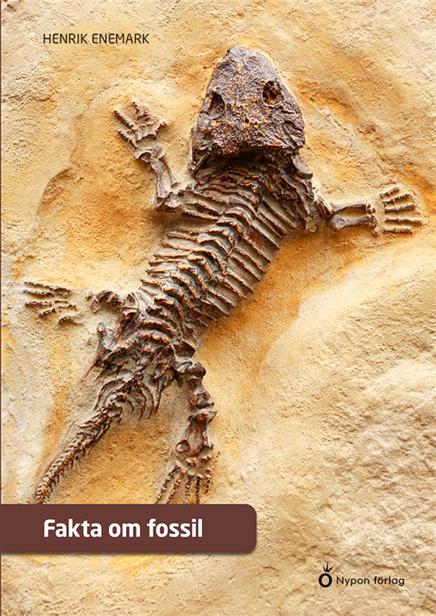 Fakta om fossil – E-bok