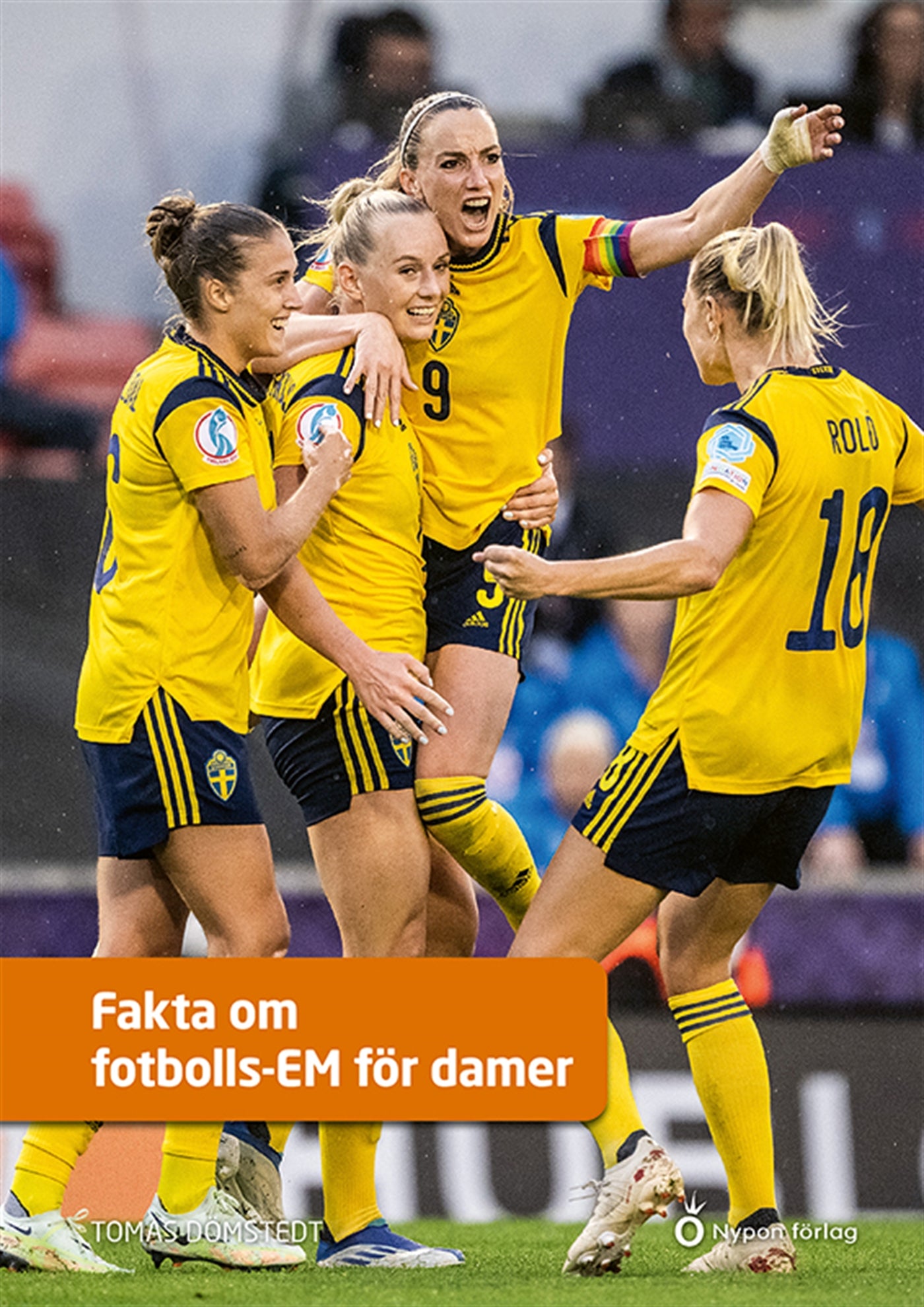Fakta om fotbolls-EM för damer – E-bok