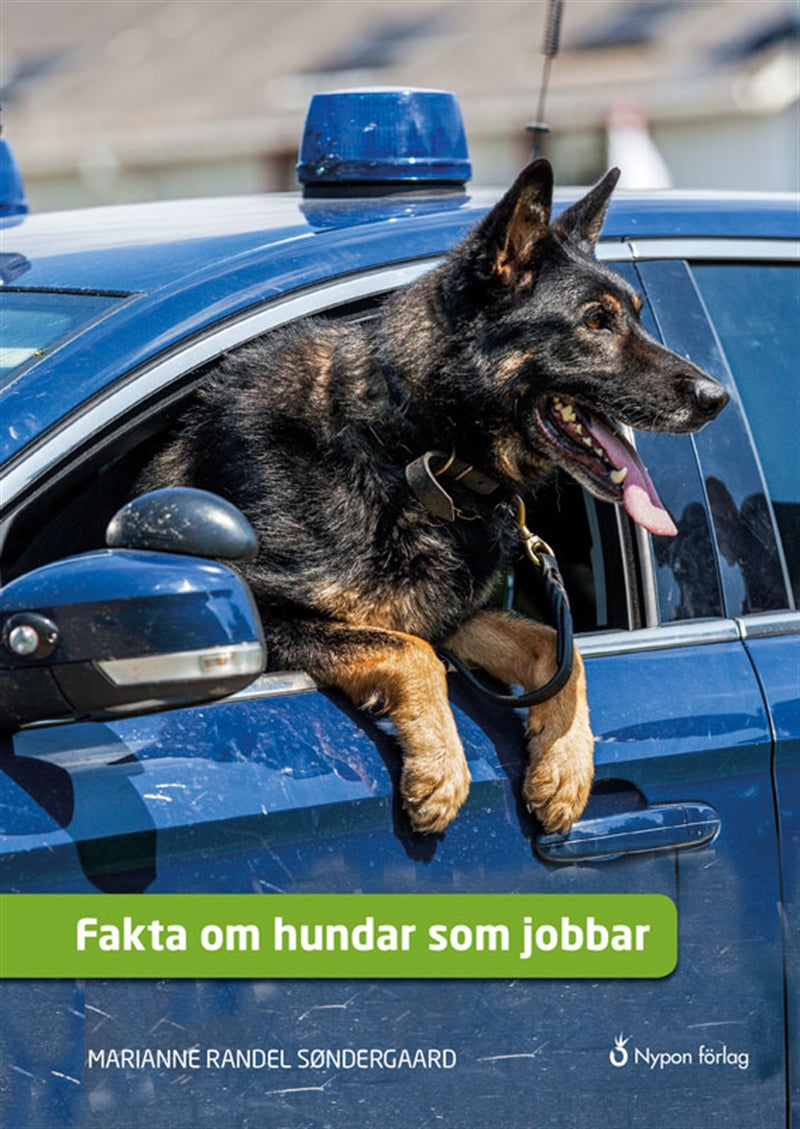 Fakta om hundar som jobbar – Ljudbok