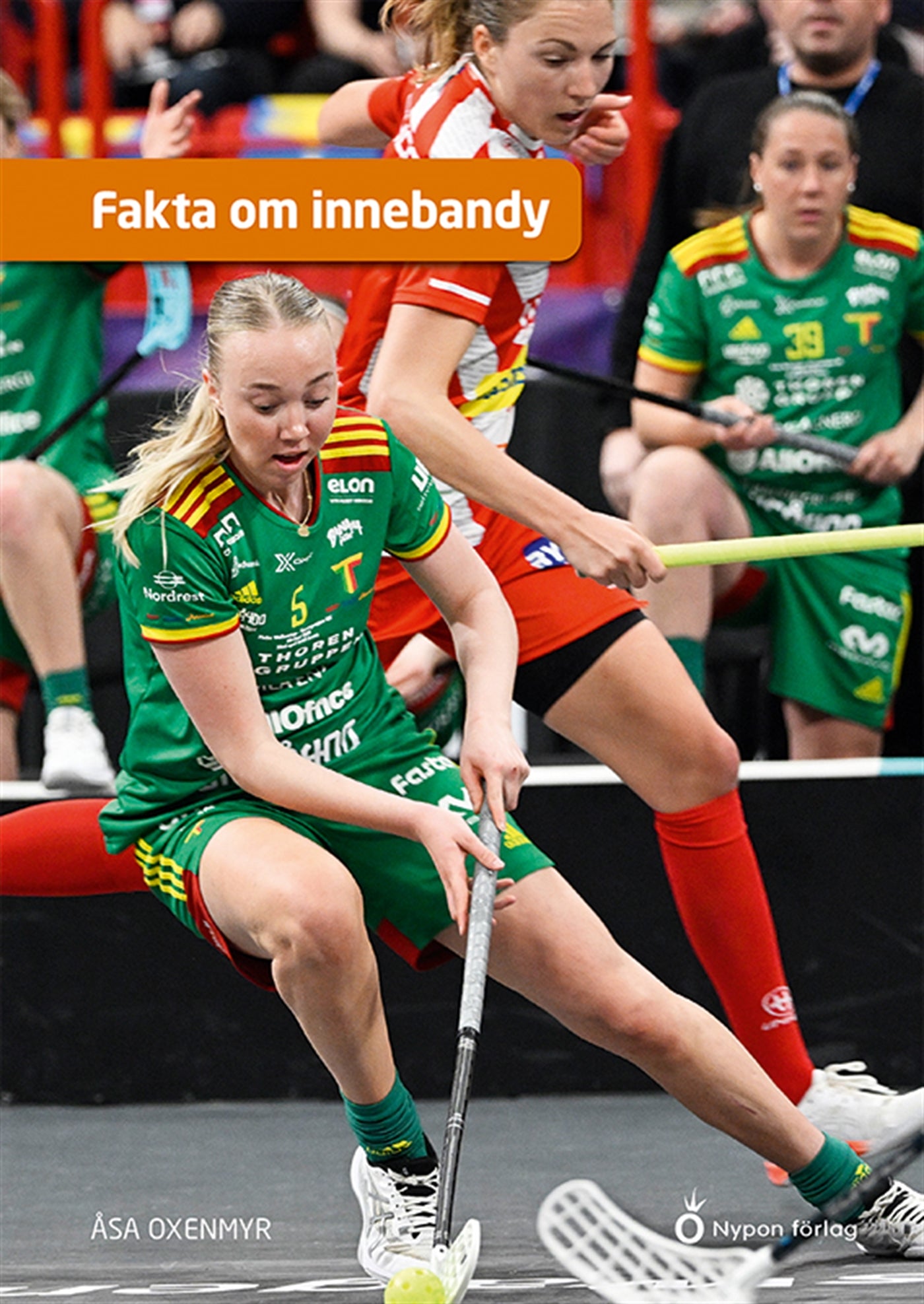 Fakta om innebandy – E-bok