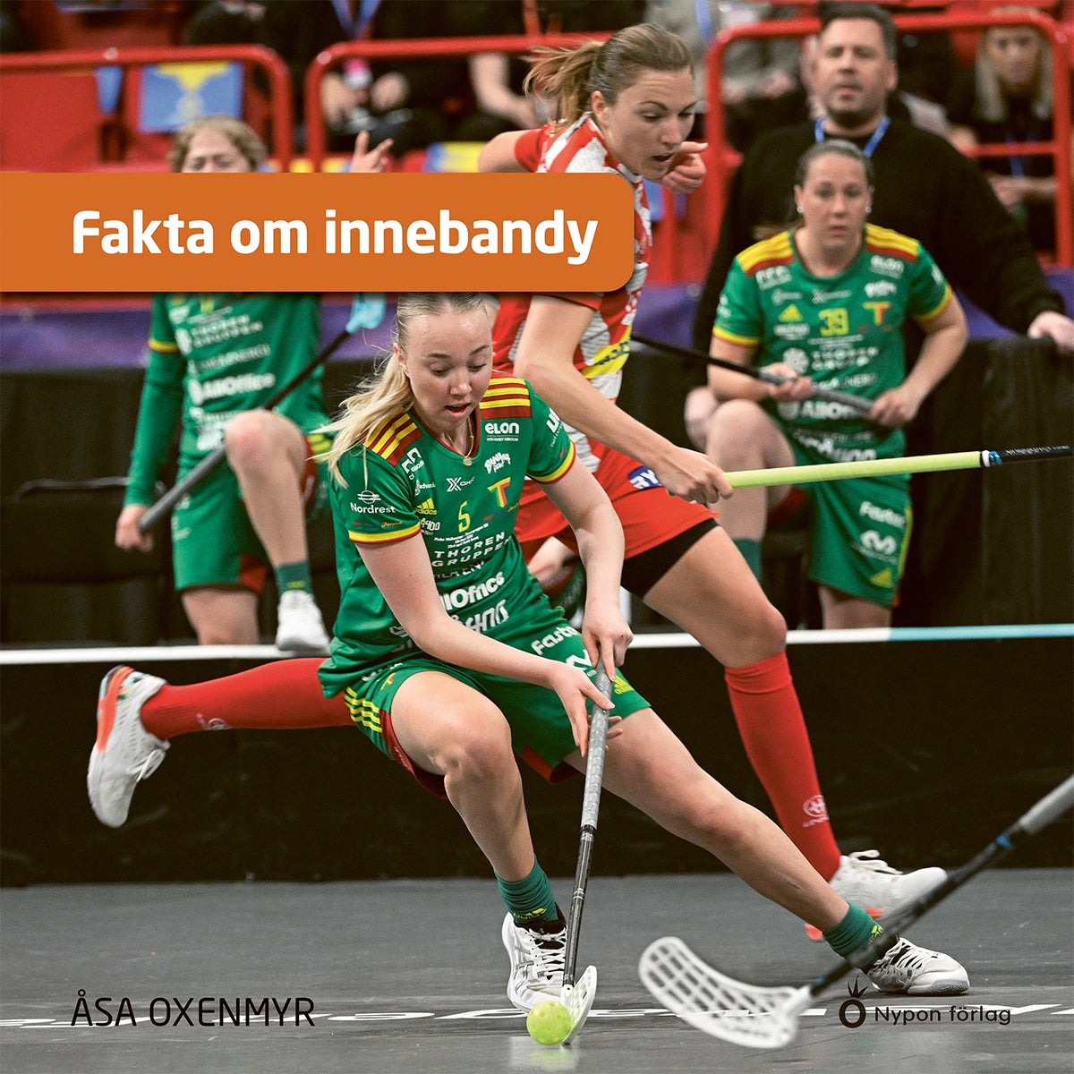 Fakta om innebandy – Ljudbok