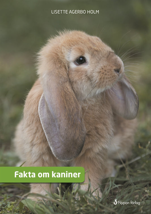 Fakta om kaniner – E-bok