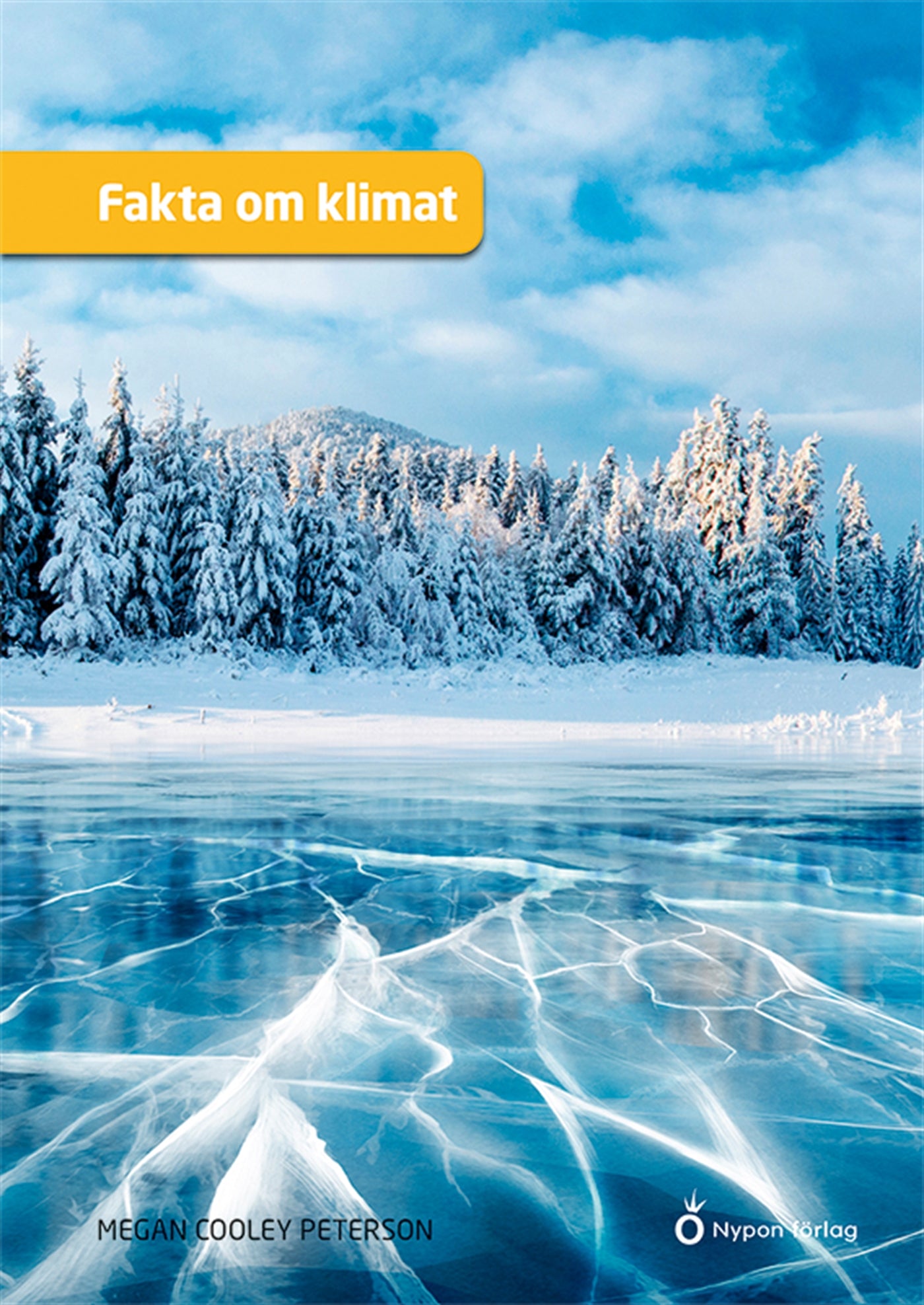 Fakta om klimat – E-bok